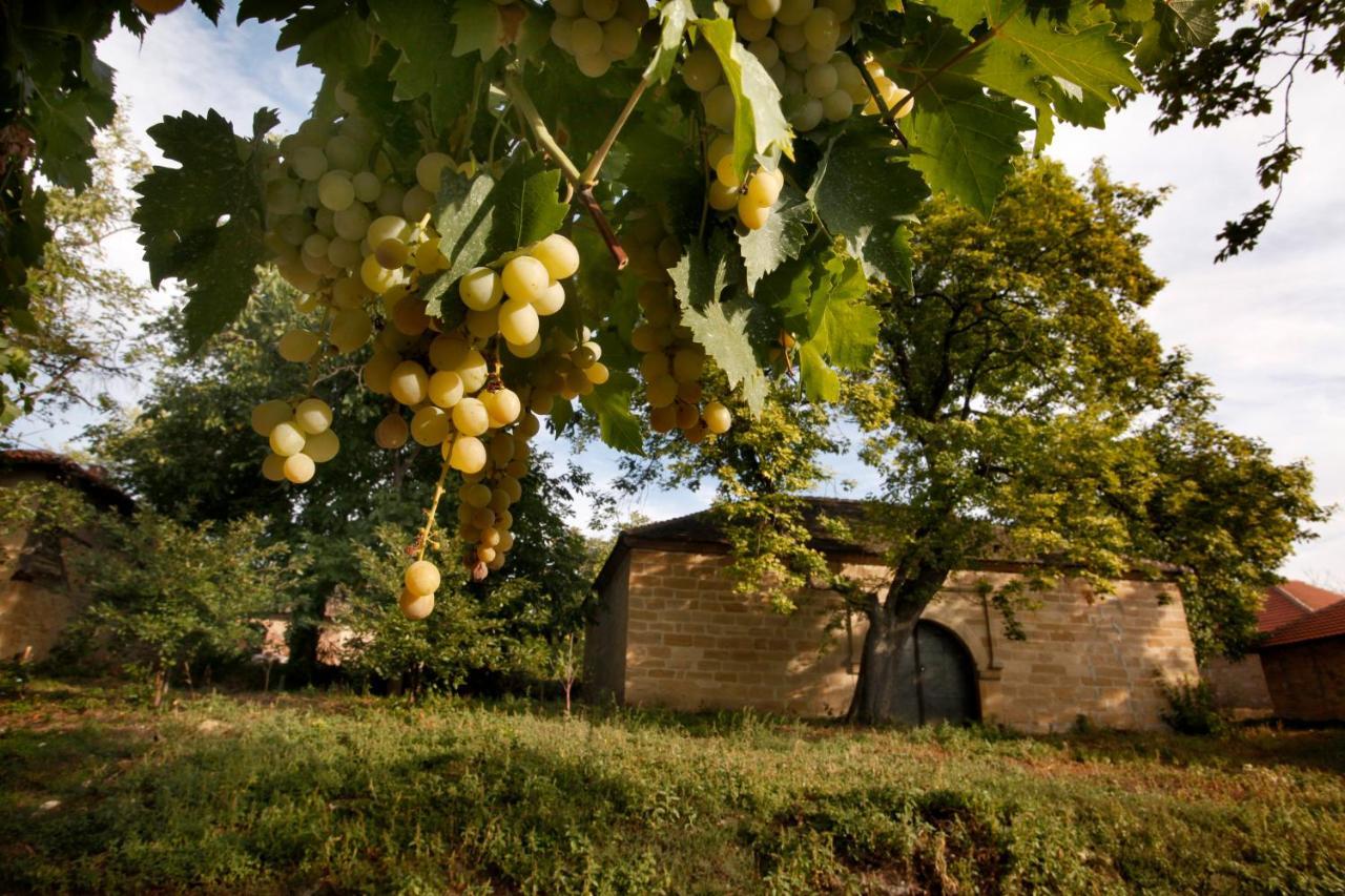 "Pivnica I Smestaj Jovanovic"- Rogljevacke Pivnice Rogljevo Dış mekan fotoğraf